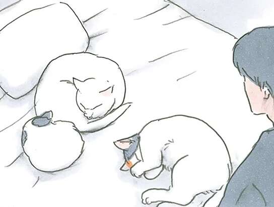 ベッドの真ん中に猫3匹。眠い飼い主は...どうする？／拾い猫のモチャ7