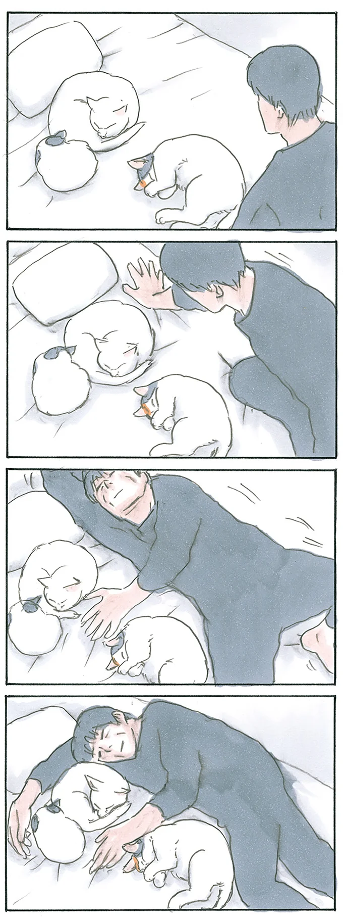 『拾い猫のモチャ1～8』 13312693.webp