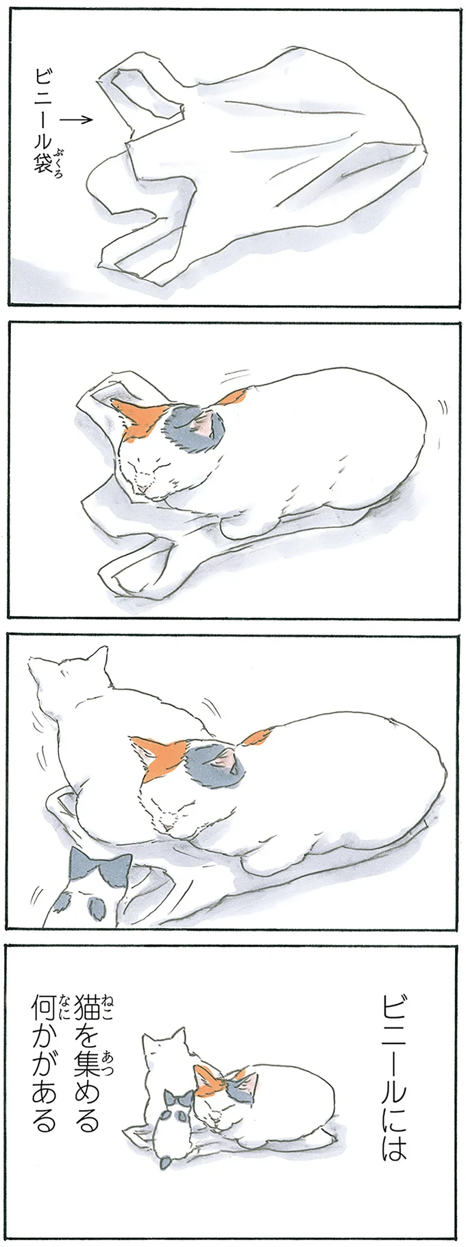 『拾い猫のモチャ1～8』 13312702.webp