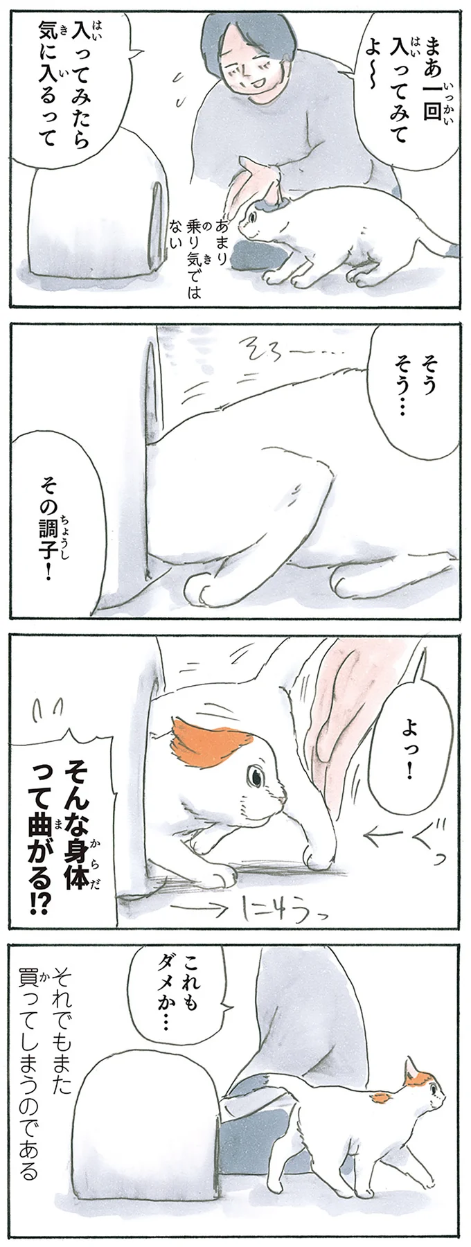 『拾い猫のモチャ1～8』 13312710.webp