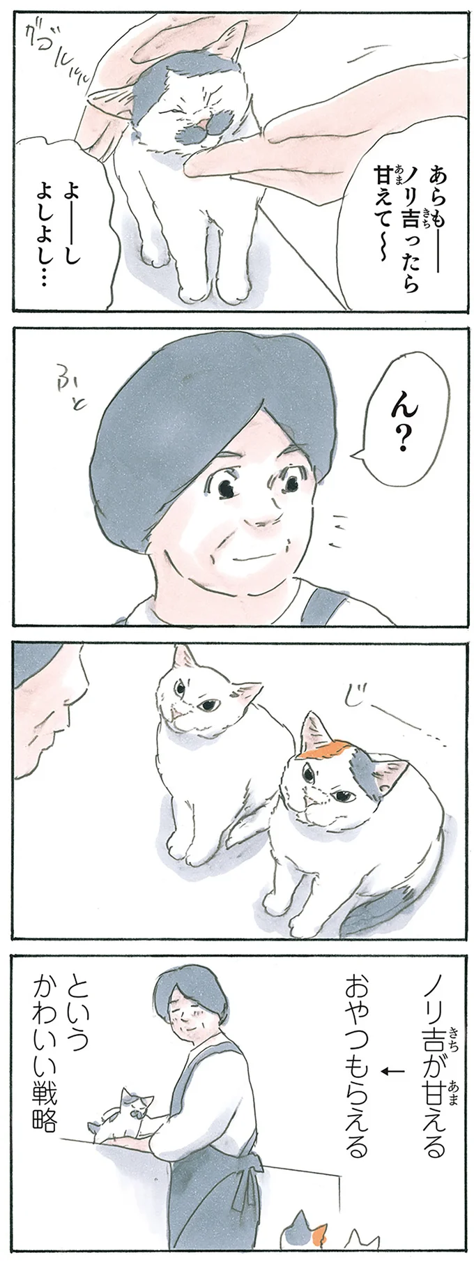 『拾い猫のモチャ1～8』 13312713.webp