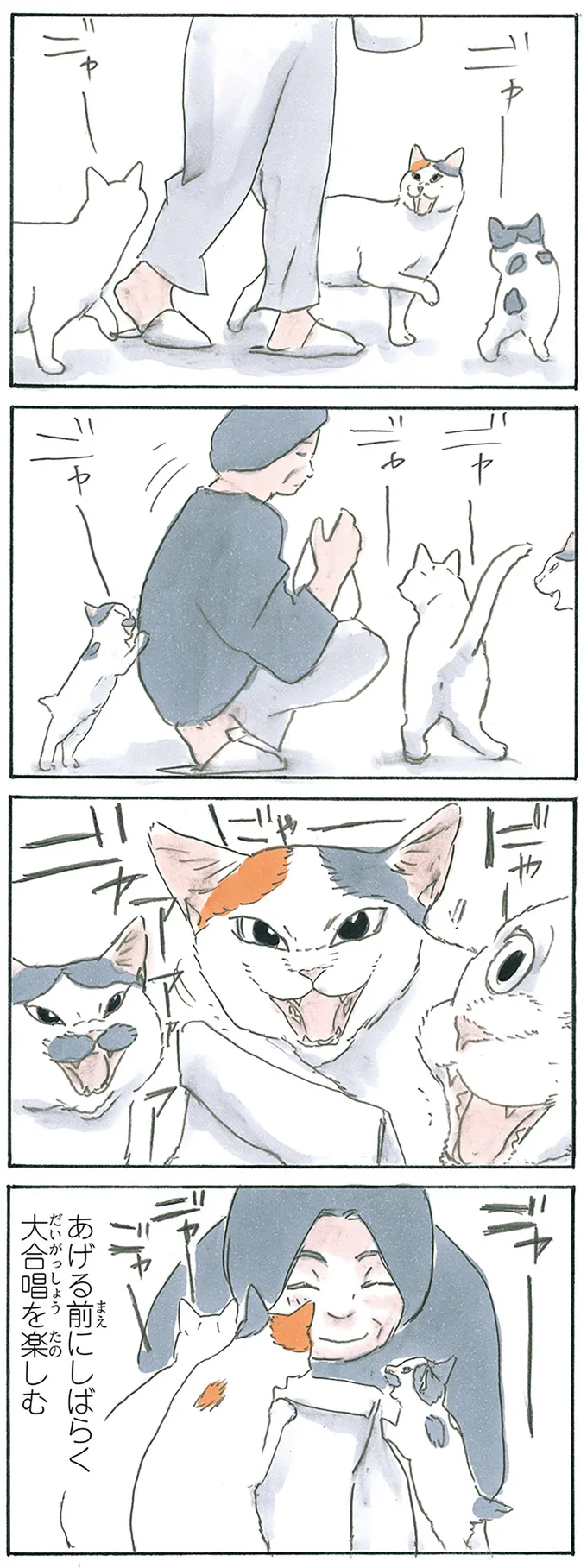 『拾い猫のモチャ1～8』 13312714.webp