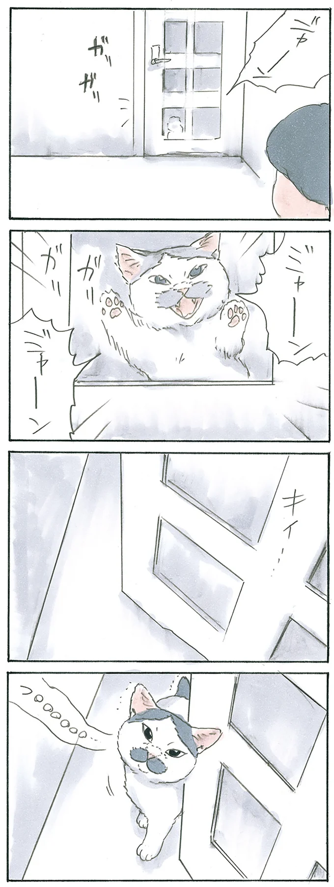 『拾い猫のモチャ1～8』 13312715.webp