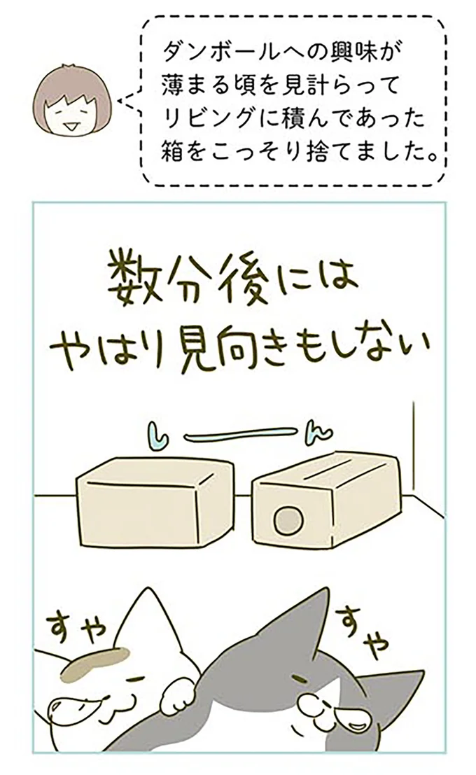 『うちの猫がまた変なことしてる。』 13312722.webp