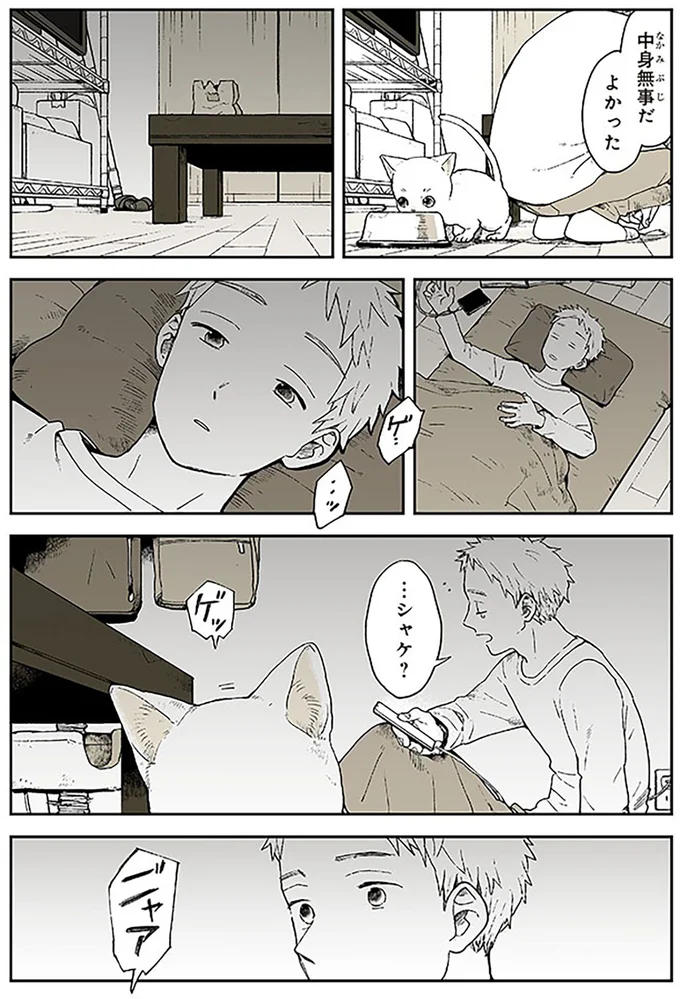 愛する猫の体調が急変！ 獣医師の指摘に飼い主が真っ青に...／特別じゃない日 15667055.webp