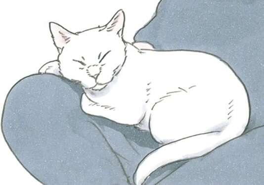 猫がひざの上でくつろいでくれる幸せ。でもその後に...ああ／拾い猫のモチャ8