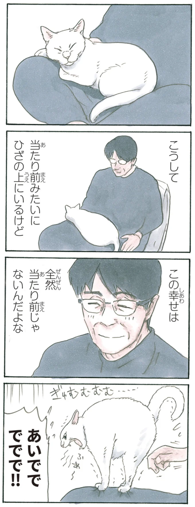 『拾い猫のモチャ1～8』 13344017.webp