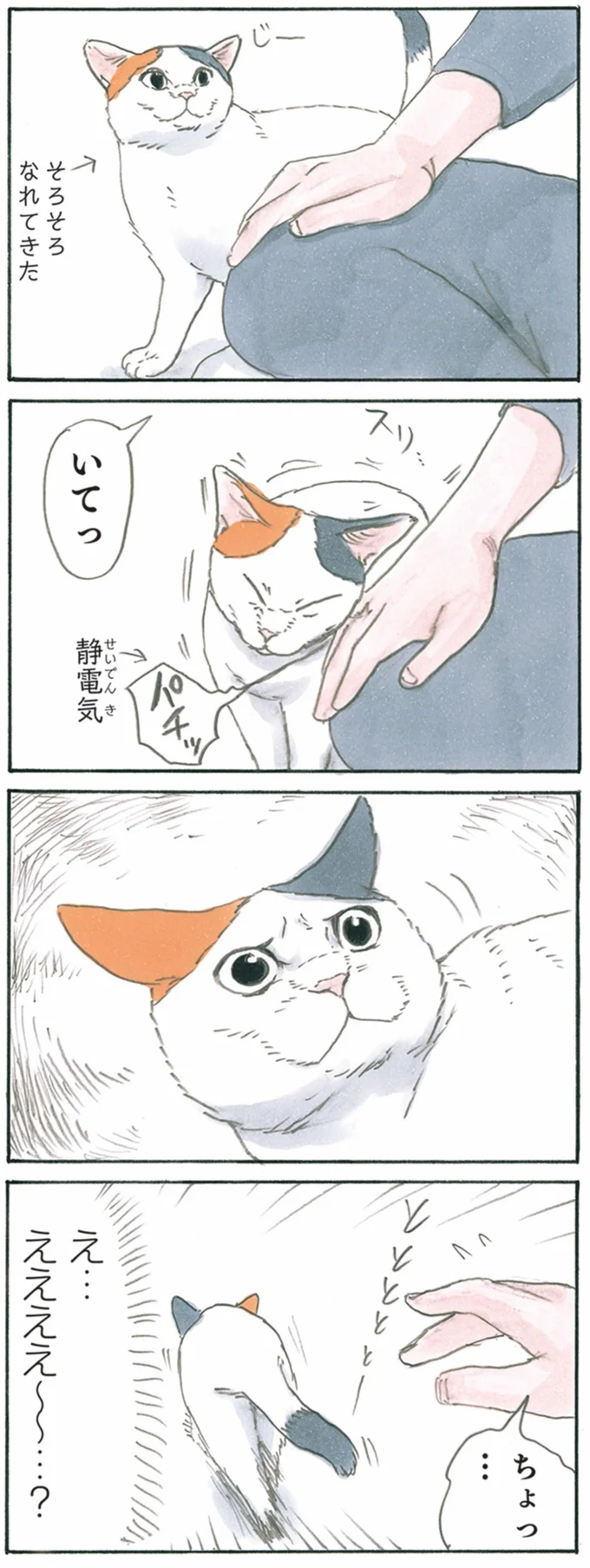 『拾い猫のモチャ1～8』 13344018.webp