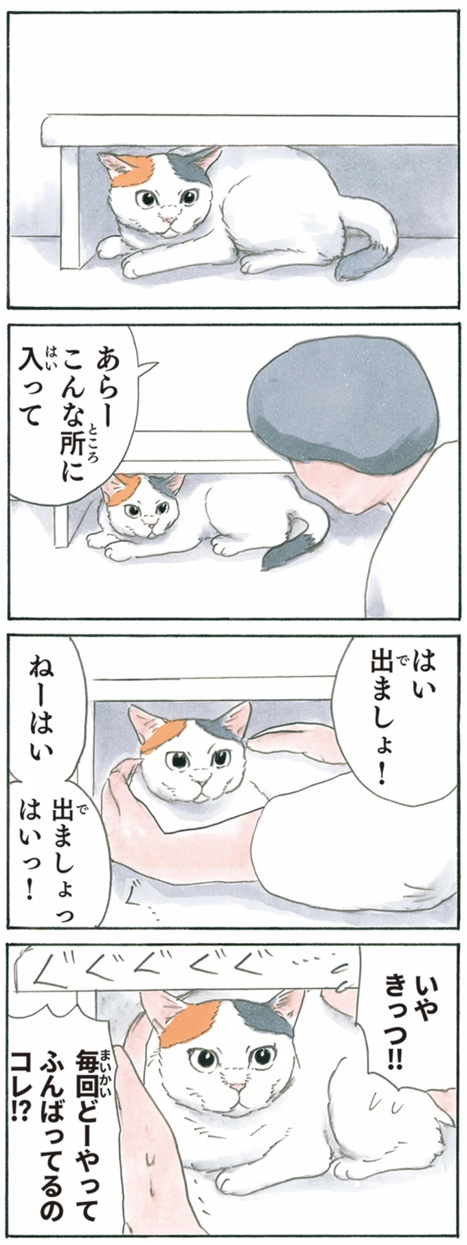 『拾い猫のモチャ1～8』 13344019.webp