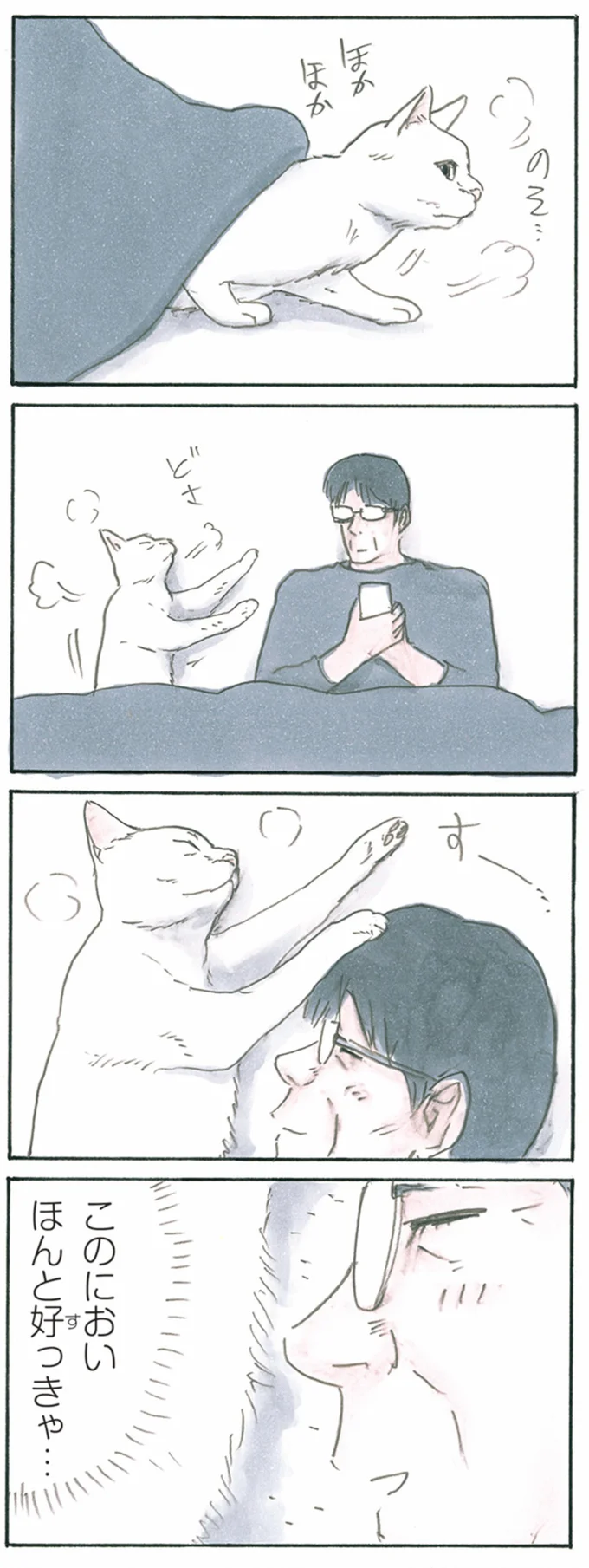 『拾い猫のモチャ1～8』 13344024.webp