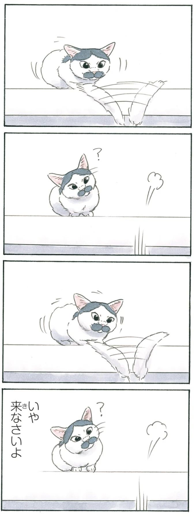 『拾い猫のモチャ1～8』 13344029.webp