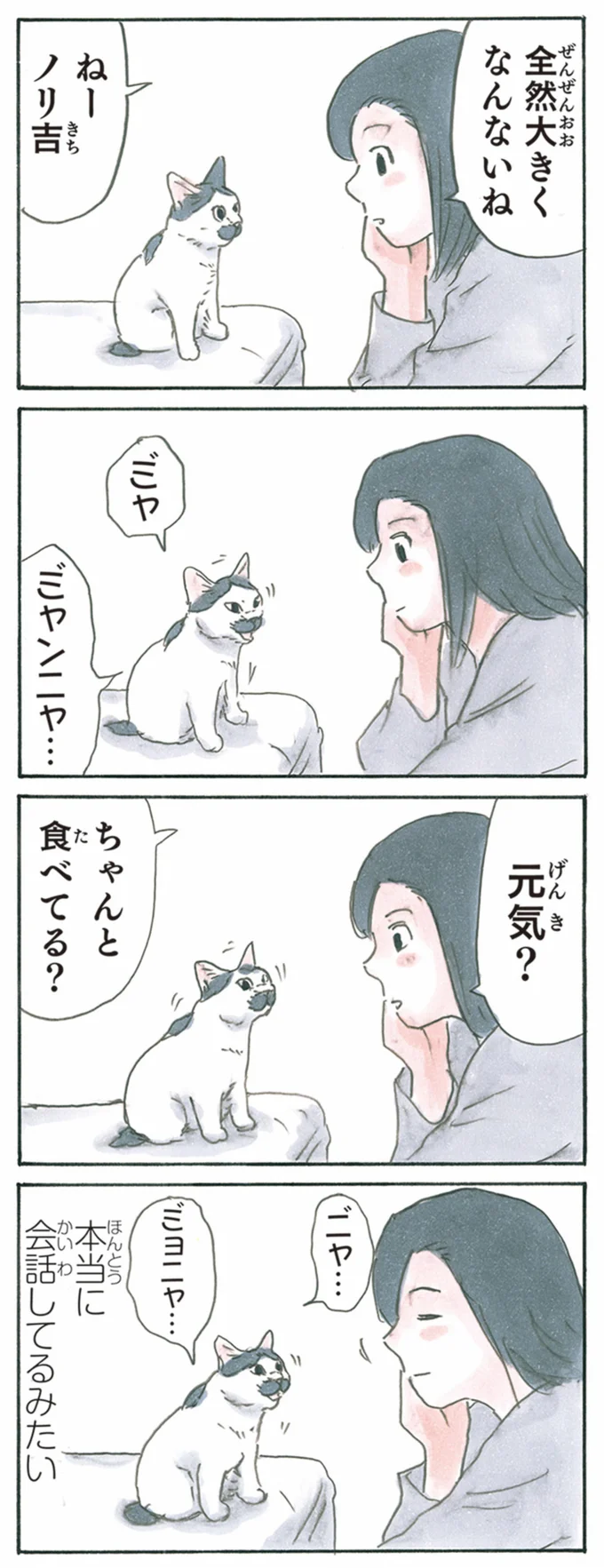 『拾い猫のモチャ1～8』 13344041.webp