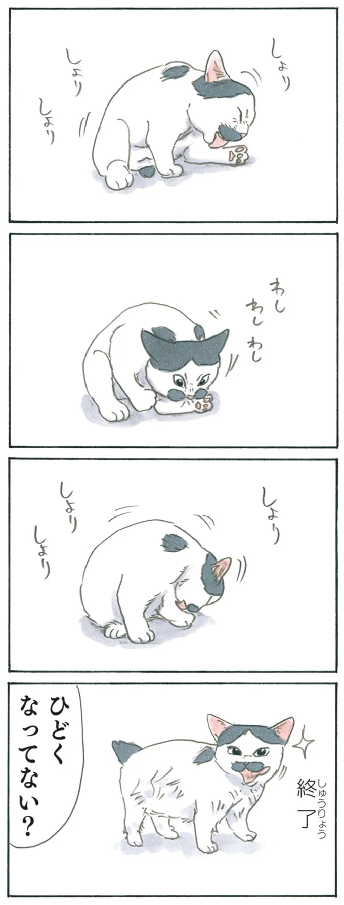 『拾い猫のモチャ1～8』 13344047.webp