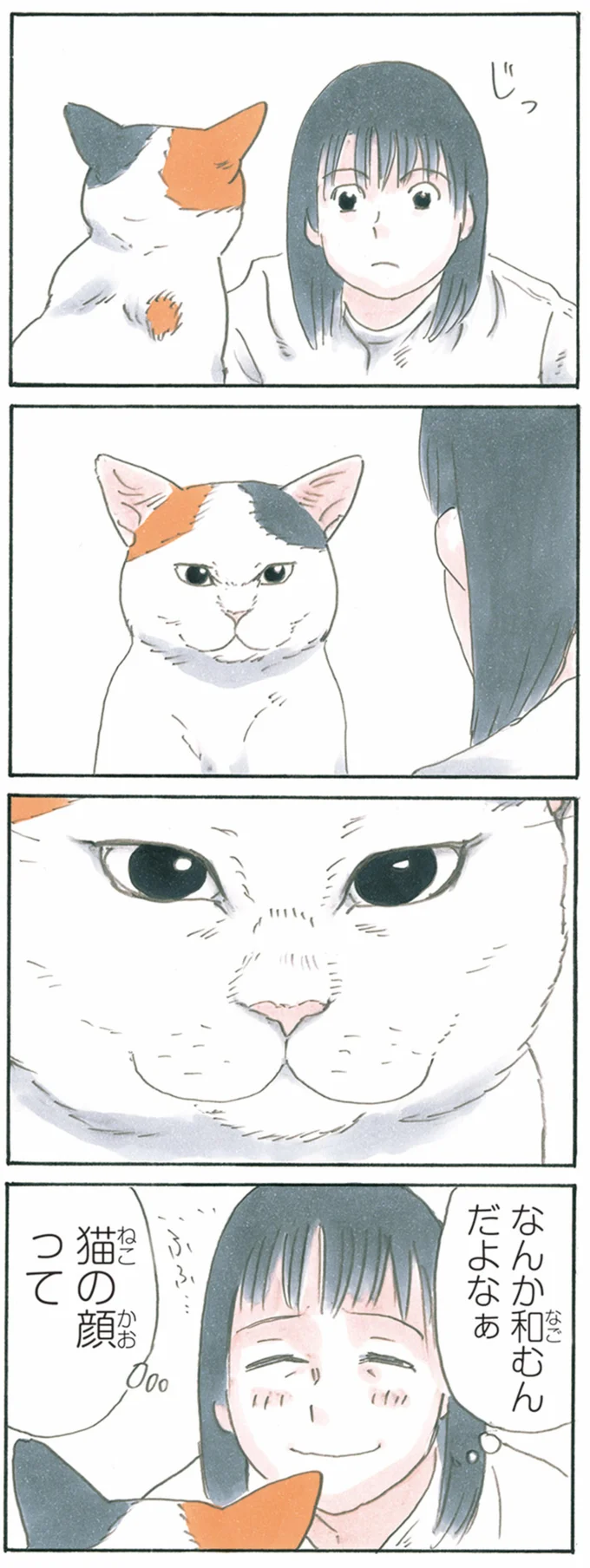 『拾い猫のモチャ1～8』 13344048.webp