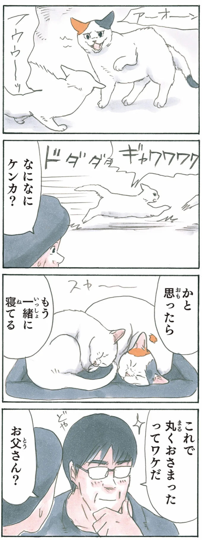 『拾い猫のモチャ1～8』 13344049.webp