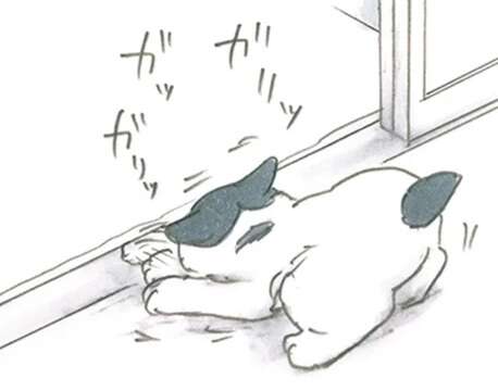 子猫が窓の溝をほりほり。何を探しているかと思ったら「さっきの!?」／拾い猫のモチャ8