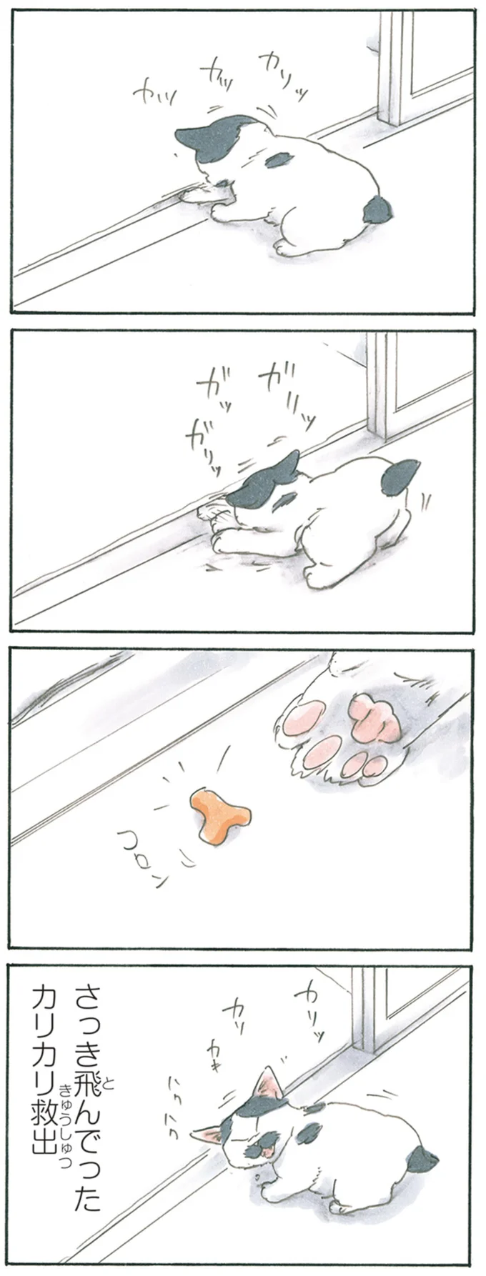 『拾い猫のモチャ1～8』 13344053.webp