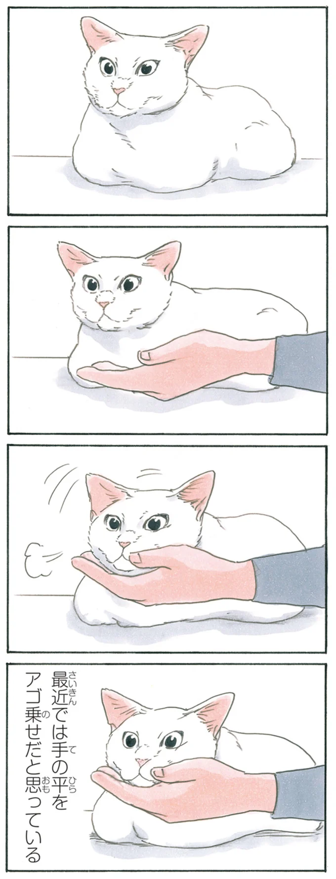 『拾い猫のモチャ1～8』 13344060.webp