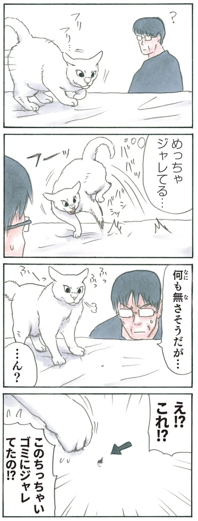 『拾い猫のモチャ1～8』 13344061.webp