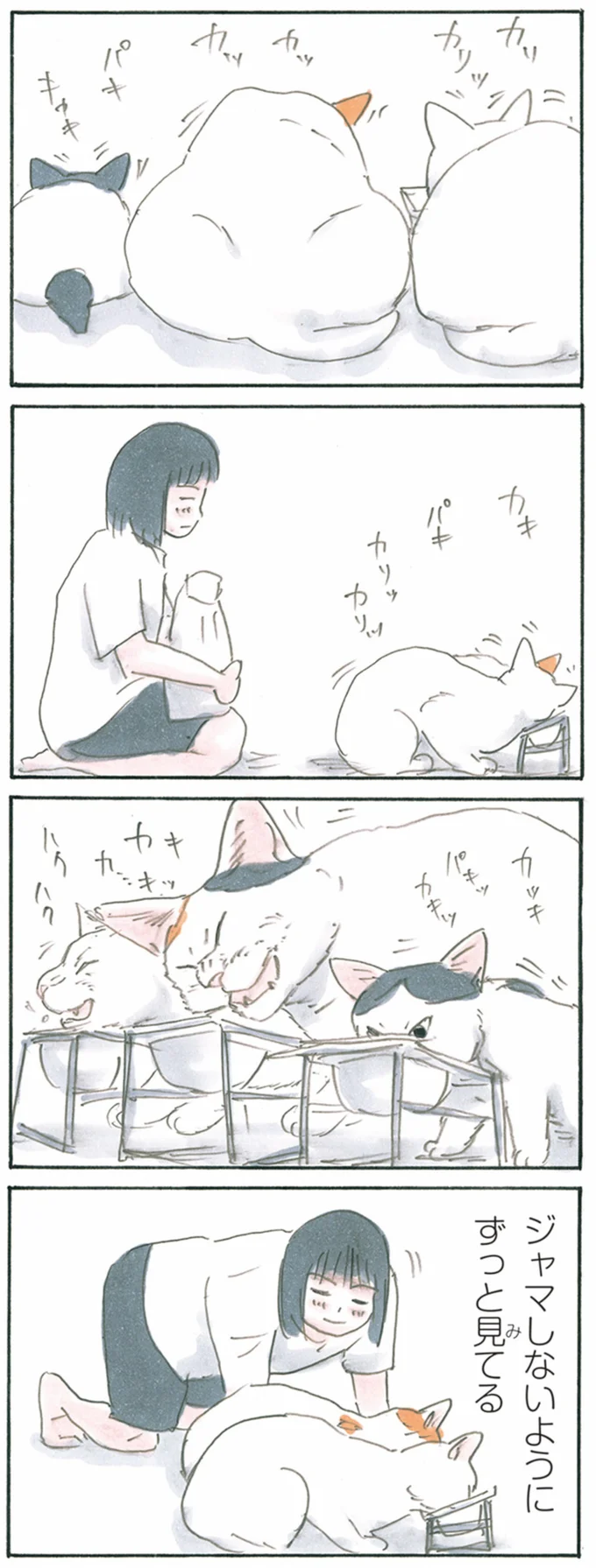 『拾い猫のモチャ1～8』 13344066.webp