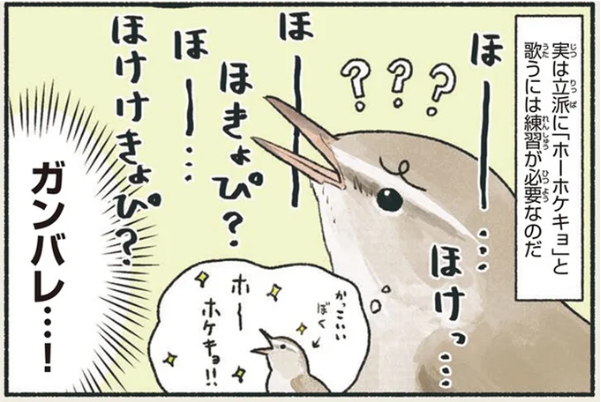 実は熟練の技？ウグイスの「ホーホケキョ」に隠された秘密／意外と知らない鳥の生活
