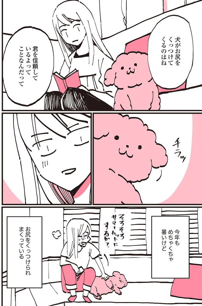 『うちのトイプーがアイドルすぎる。』 13361142.webp