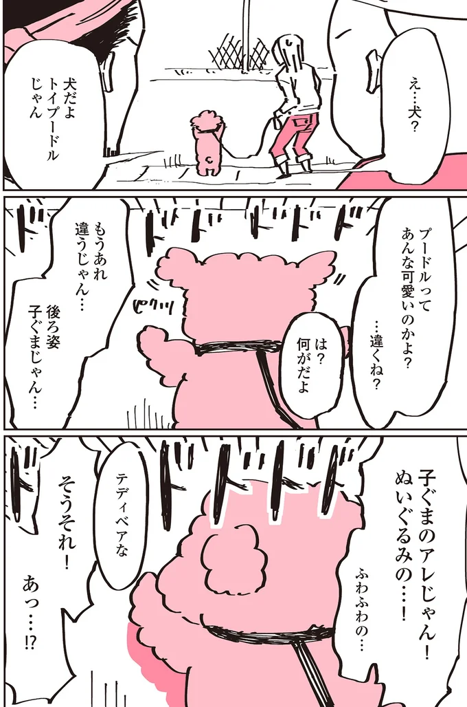 『うちのトイプーがアイドルすぎる。』 13361846.webp