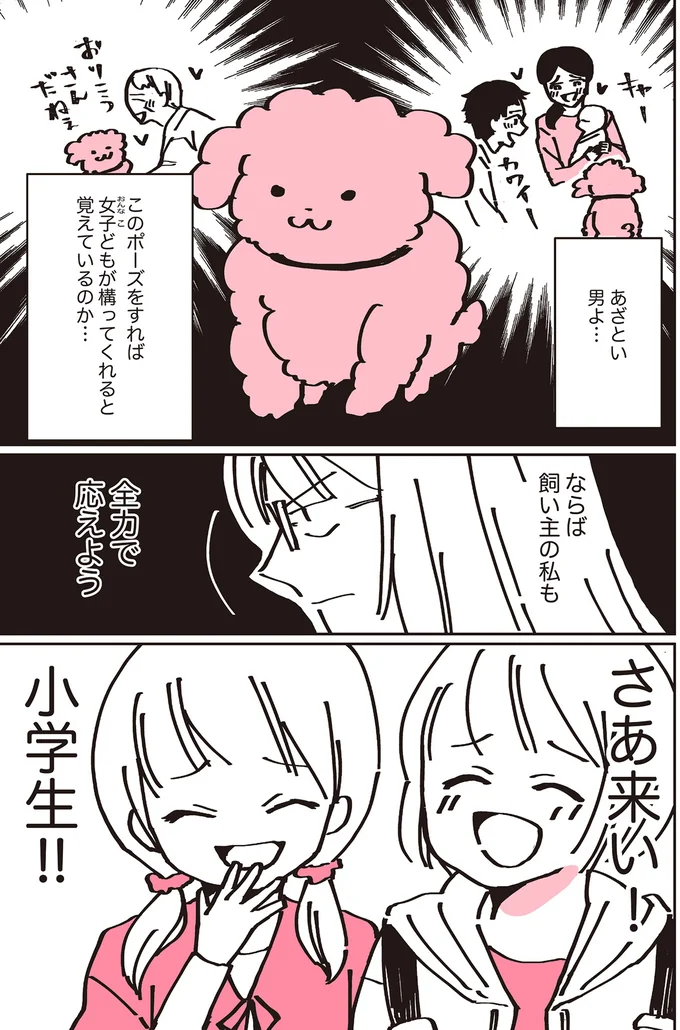 『うちのトイプーがアイドルすぎる。』 13361852.webp