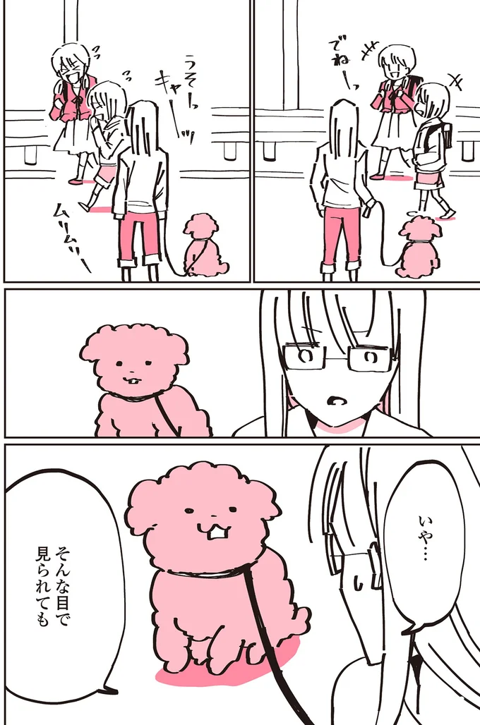 『うちのトイプーがアイドルすぎる。』 13361853.webp