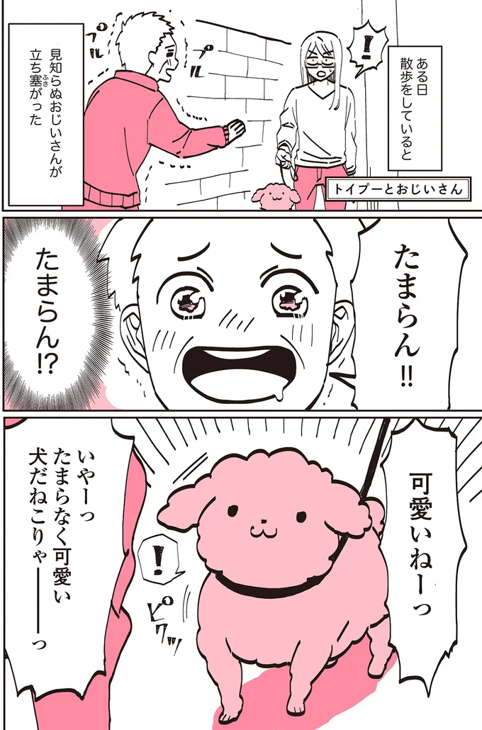 『うちのトイプーがアイドルすぎる。』 13361872.webp