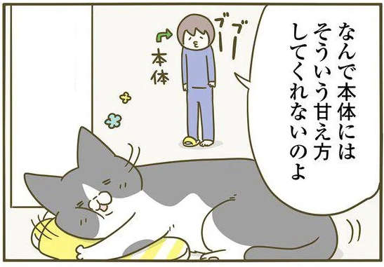 猫がコレには「とてもかわいく甘える」。いや本体に...！／うちの猫がまた変なことしてる。3