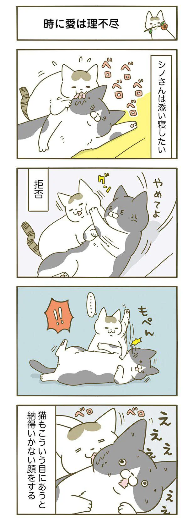 『うちの猫がまた変なことしてる。』 13364604.webp