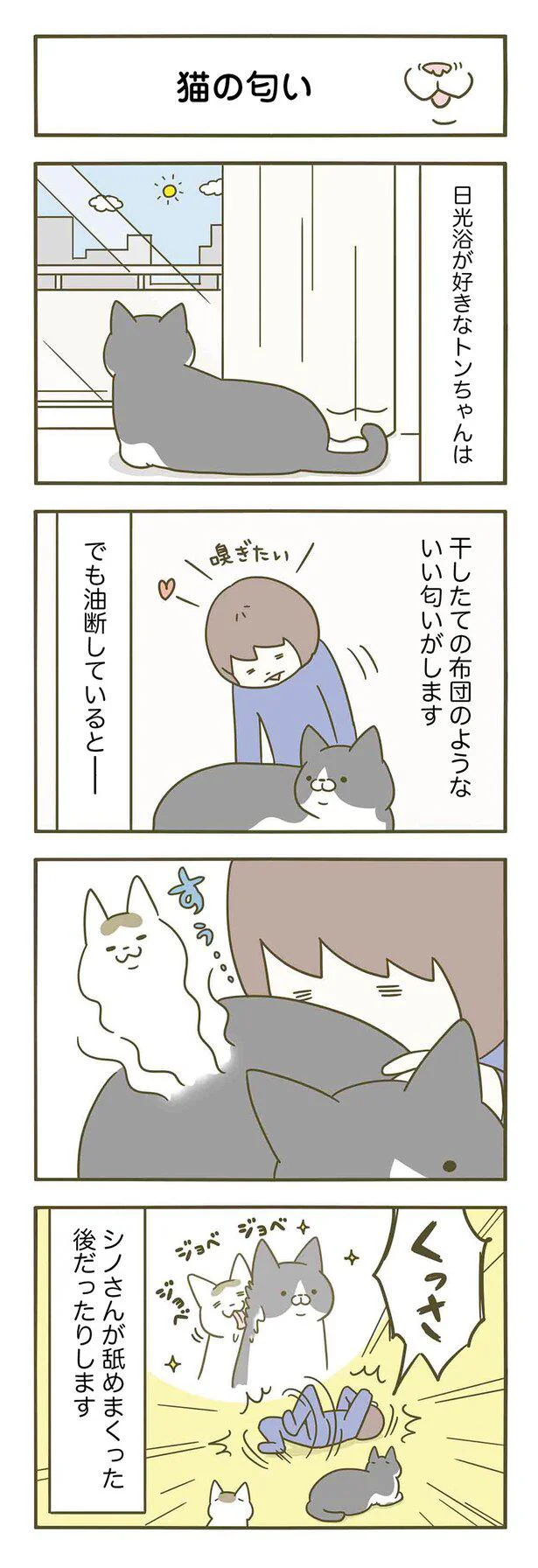 『うちの猫がまた変なことしてる。』 13364608.webp