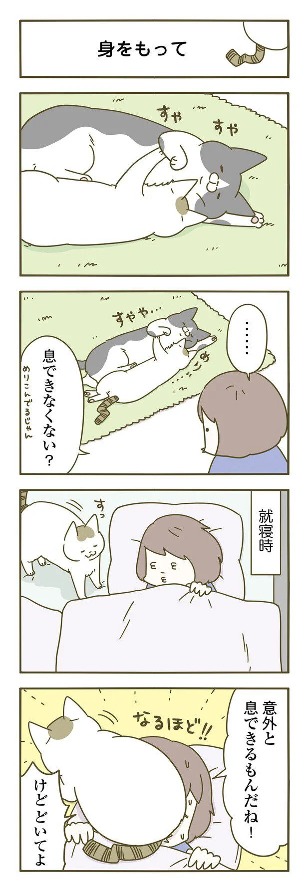 『うちの猫がまた変なことしてる。』 13364928.webp