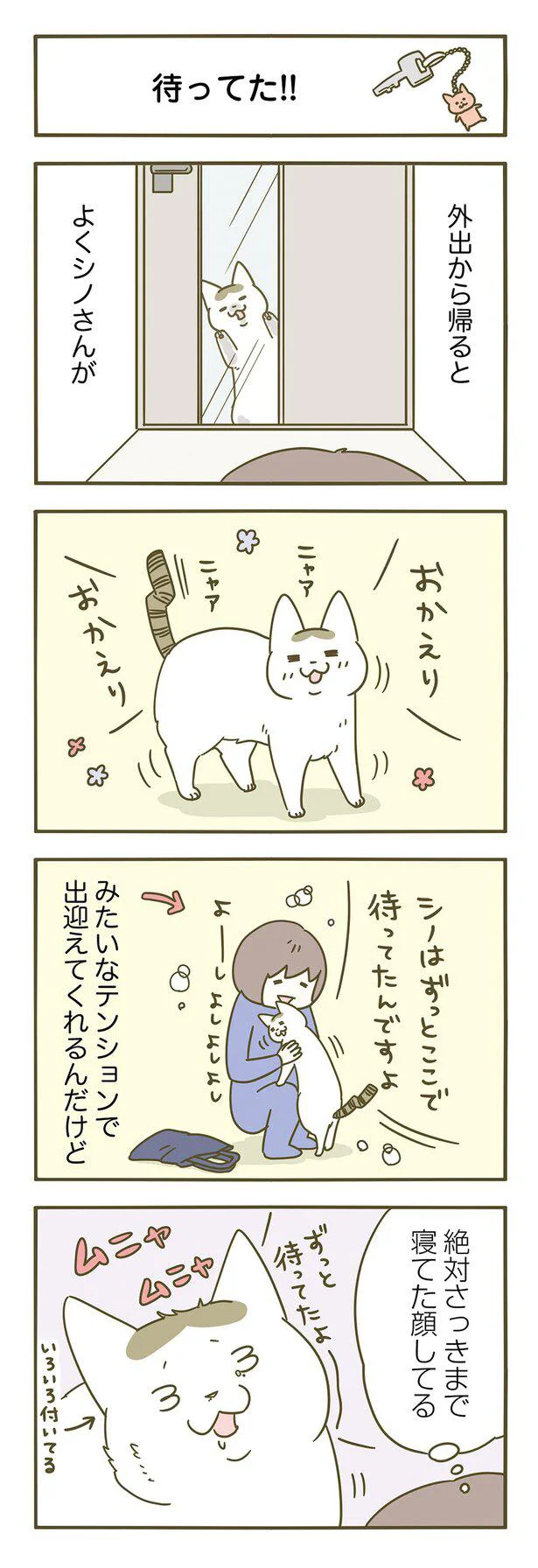 『うちの猫がまた変なことしてる。』 13365332.webp