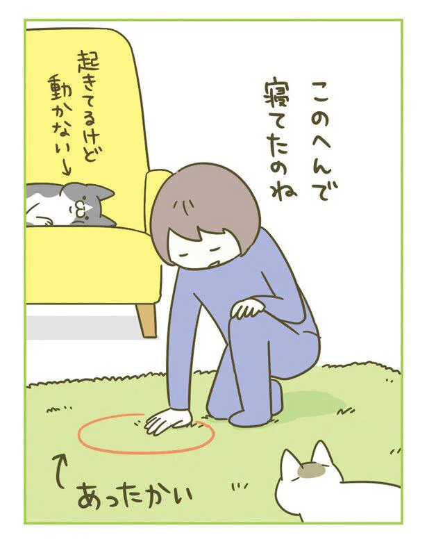 『うちの猫がまた変なことしてる。』 13365333.webp