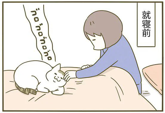 「寝られなくて起きられない」猫を飼っているがゆえの悩み／うちの猫がまた変なことしてる。3