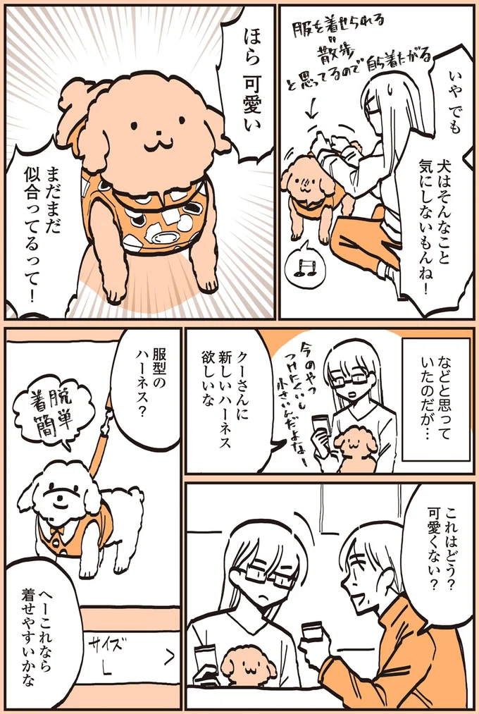 うちの愛犬は人間でいうと64歳。可愛いから気づかなかったこと／うちのトイプーがアイドルすぎる。 13387445.webp