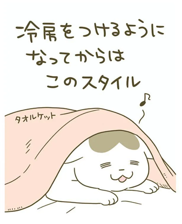 『うちの猫がまた変なことしてる。』 13397903.webp