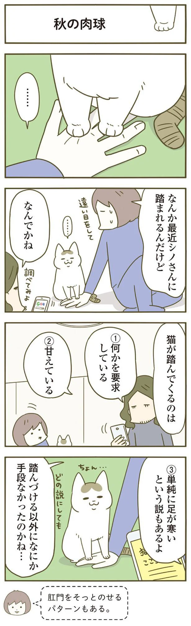 愛猫は「なぜ飼い主の手を踏むのか」。遠い目をして訴えていることは...／うちの猫がまた変なことしてる。4 13397907.webp