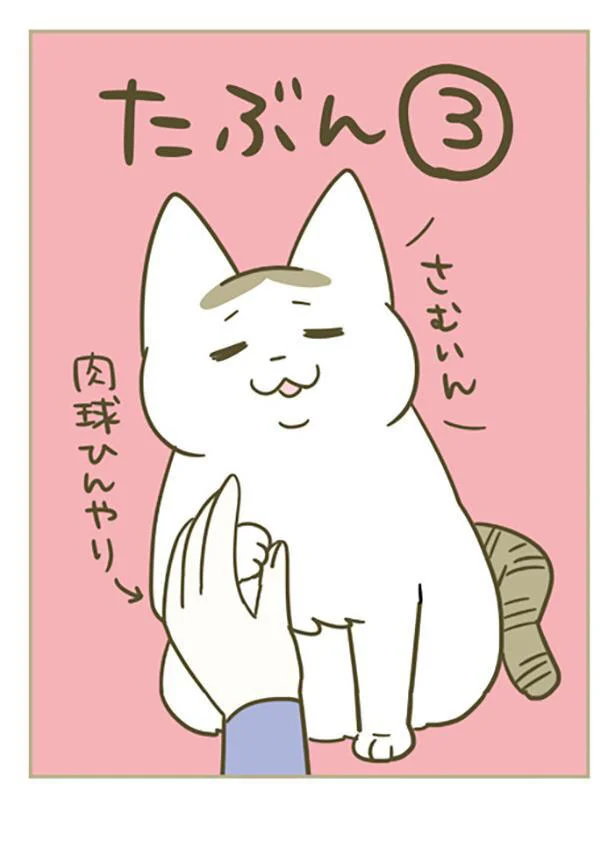 愛猫は「なぜ飼い主の手を踏むのか」。遠い目をして訴えていることは...／うちの猫がまた変なことしてる。4 13397908.webp