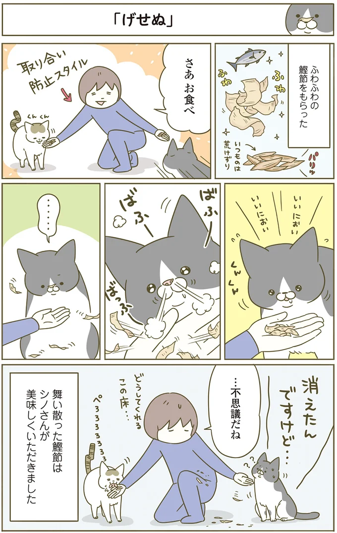 「その食べこぼしを...」猫はおかわりを要求してくるが／うちの猫がまた変なことしてる。4 13397914.webp