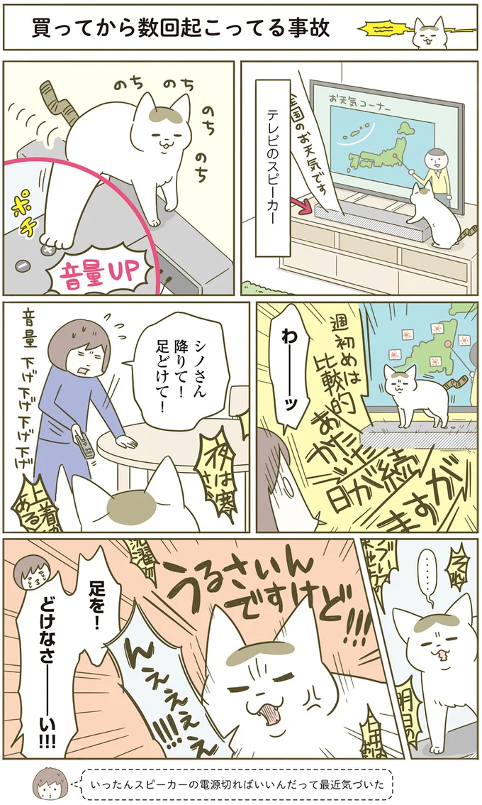 わーッ！ 猫は「ボタンを踏む」。飼い主は焦るが...もう！／うちの猫がまた変なことしてる。4 13398134.webp