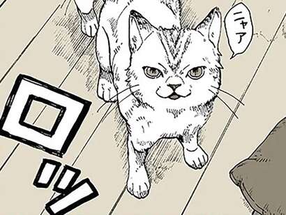 夜中、窓をカリカリする物音が。子猫が戻ってきたかと思ったら、あら大変！／特別じゃない日