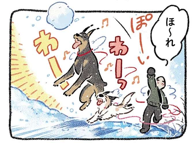 雪が大好きな愛犬と南国出身の飼い主。雪の日に喜ぶのは犬だけじゃない！／ドベとノラ2