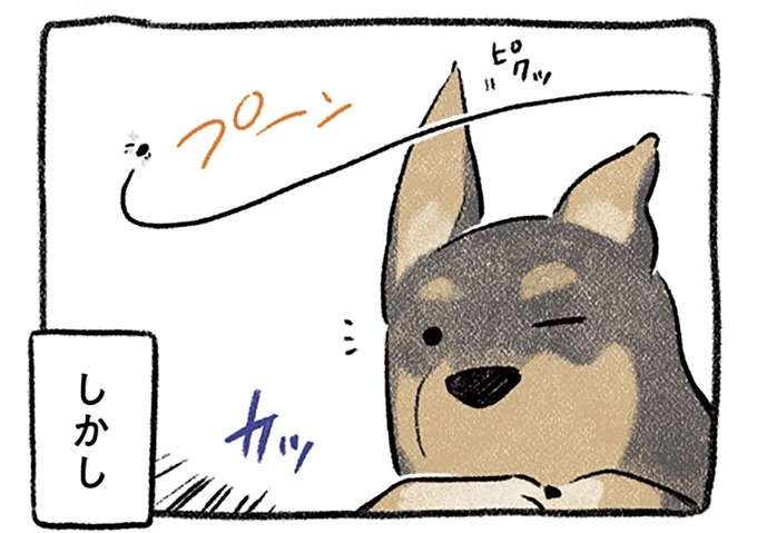 どうしようもなく落ち込んだ日。でも犬がいてくれたら...こうなる／ドベとノラ2