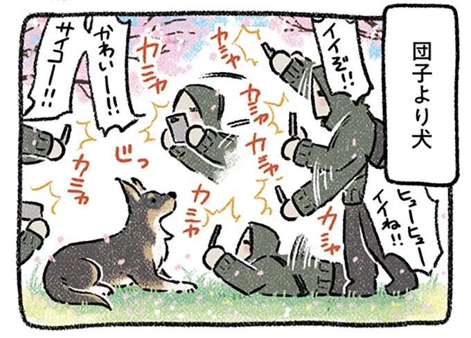 花と愛犬。飼い主は花より団子ではなく「団子より犬」、一方の愛犬は...／ドベとノラ2