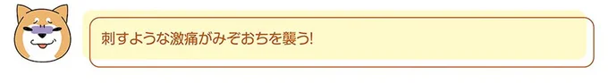 『ドヤ顔柴犬どんぐり』 13445811.webp