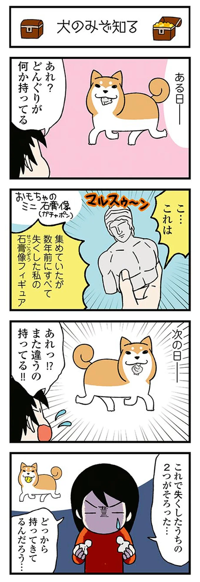 『ドヤ顔柴犬どんぐり』 13445812.webp