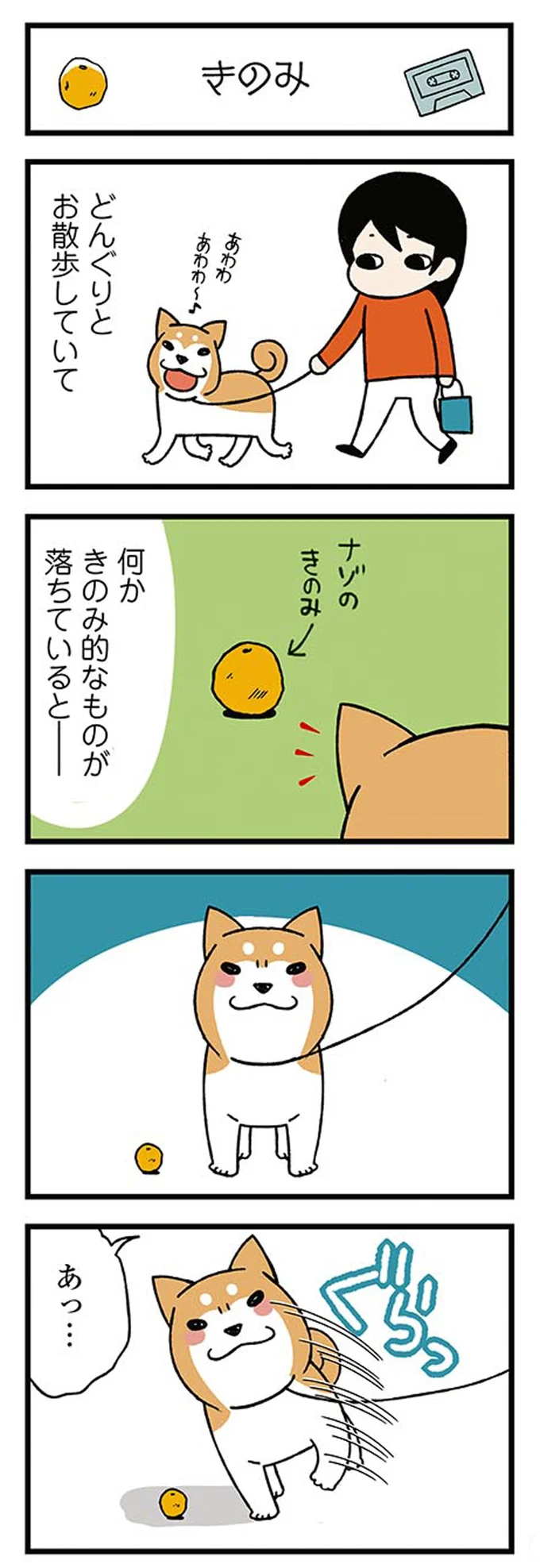 ハッ...柴犬が何もないはずの私の背後を凝視。恐ろしくなって振り返ると...え？／ドヤ顔柴犬どんぐり 13445839.webp